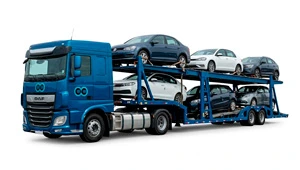 transporte de veiculos caminhão cegonha