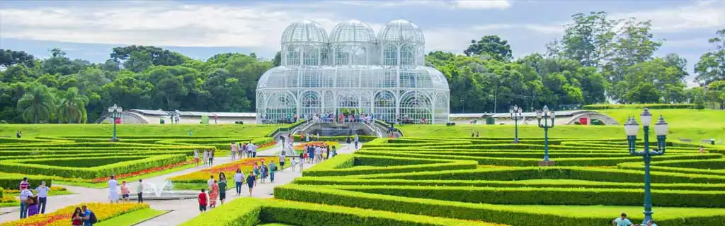 carreto curitiba