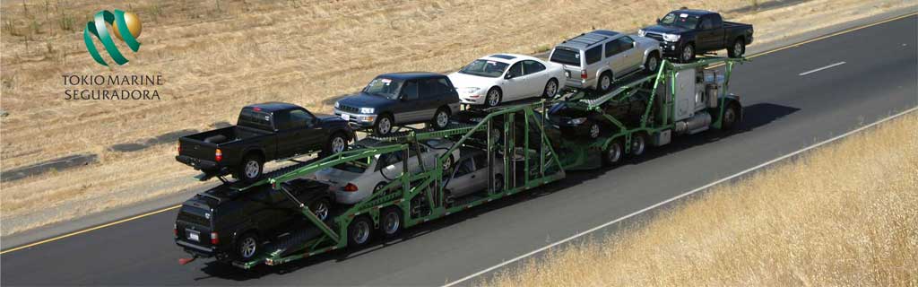 Transporte de veiculos cegonha