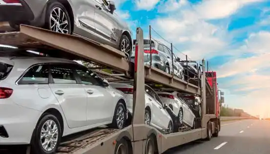 Detalhes sobre o Transporte de Veículos